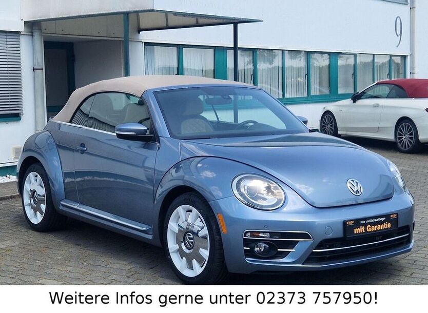 Beetle