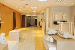 Gewerbeobjekt Torgau - 850&euro; | Angebot:11960675