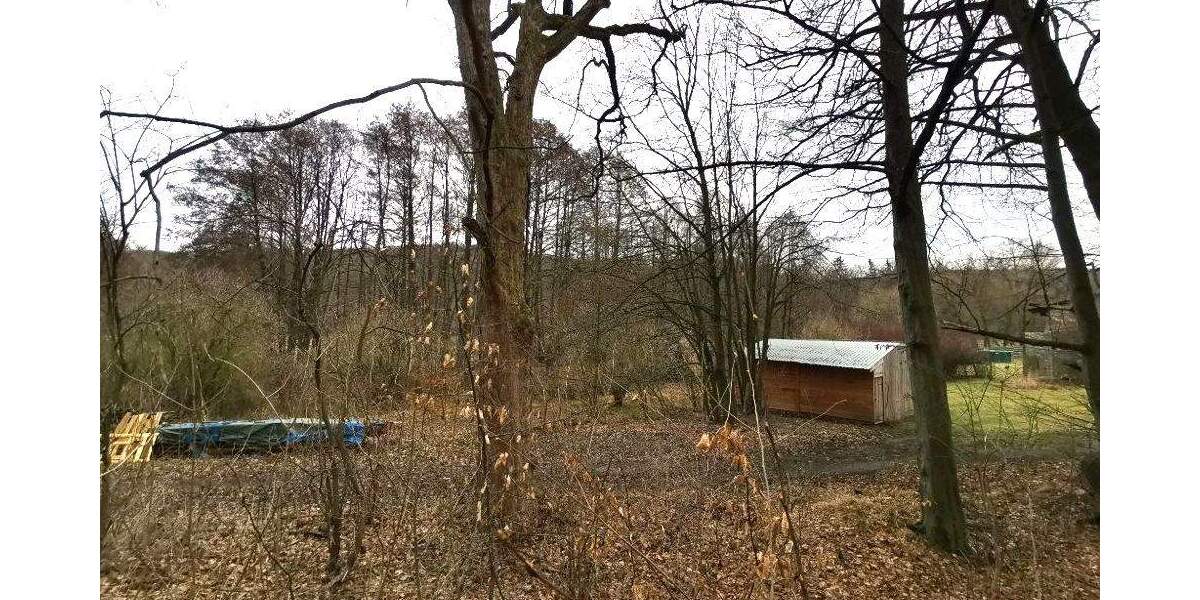 Gewerbeobjekt Mansfeld Molmerswende - 12.500&euro; | Angebot:25667428