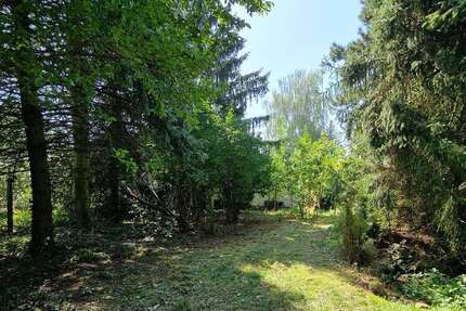 BAUTRÄGERFREIES GRUNDSTÜCK - RUHIGE LAGE VON PETERSHAGENEGGERSDORF...... - Grundstück Petershagen/Eggersdorf Eggersdorf | Angebot:20209471
