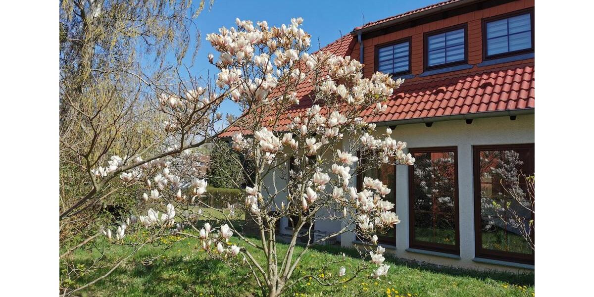 Einfamilienhaus Neuenhagen bei Berlin - 6 Zimmer, 150 m&sup2;, 5.900&euro; | Angebot:25966713