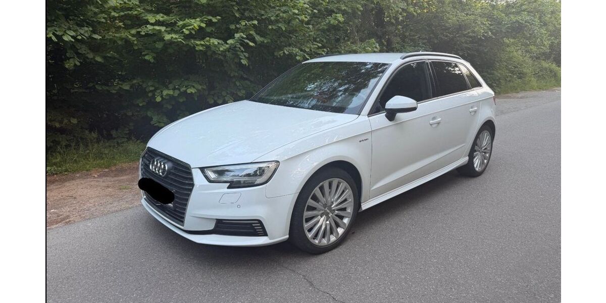 Audi A3 99.500 km 15.900 &euro; Brietlingen 21382