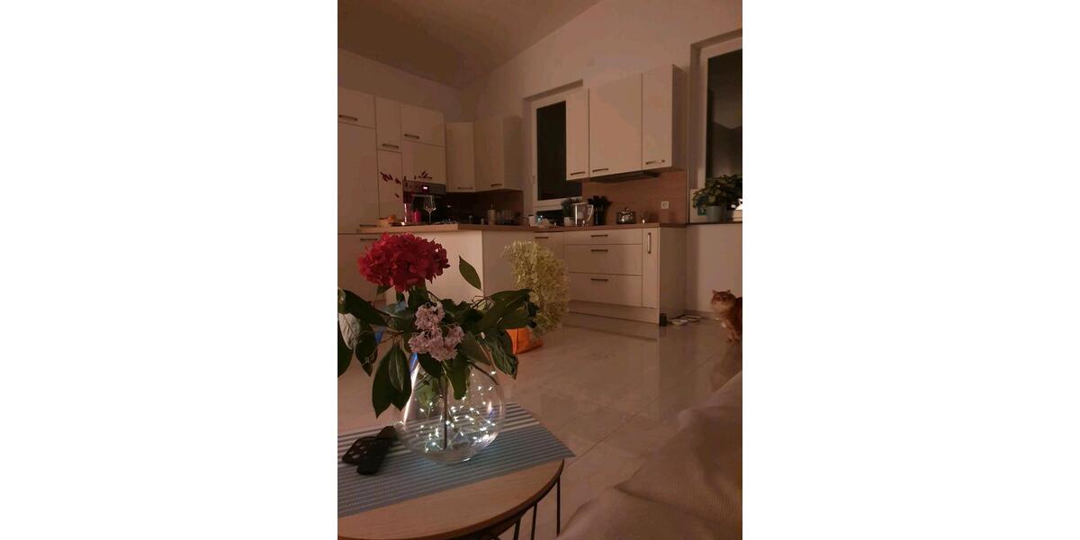 Einfamilienhaus Frankfurt am Main Nord-West - 3 Zimmer, 75 m&sup2;, 2.350&euro; | Angebot:25378034