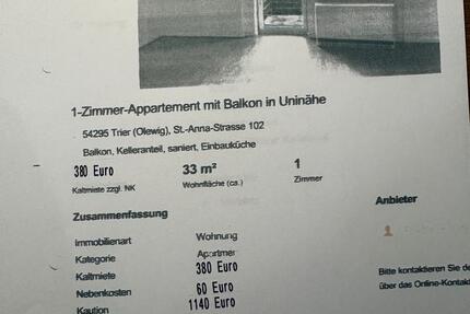 Wohnung Hermeskeil - 1 Zimmer, 33 m&sup2;, 440&euro; | Angebot:25382130