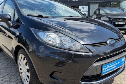 Ford Fiesta 163.175 km 3.990 &euro; Munster 29633