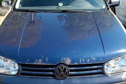 VW Golf 282.243 km 1.000 &euro; Bremerhaven 27568