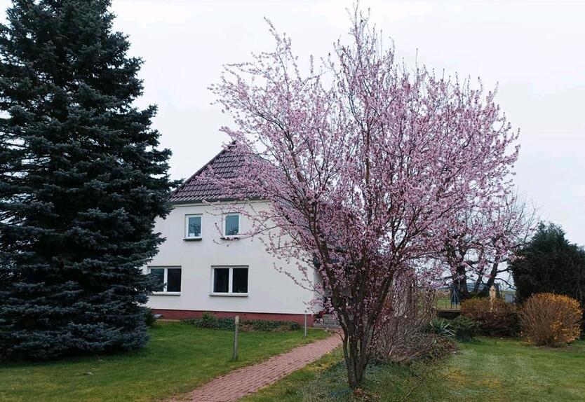 Platz für Visionen! XXL Bauernhaus in der Seenplatte