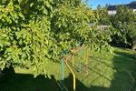Charmantes Familienhaus mit Gartenidylle im Herzen von Kommern