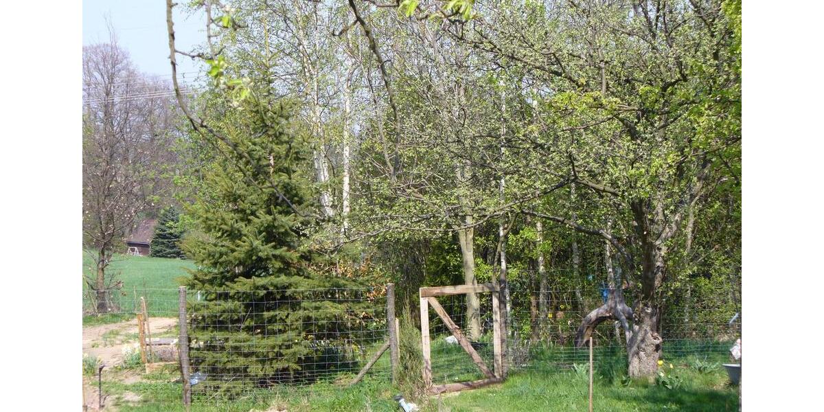 Mehrfamilienhaus, Wohnhaus Freiberg - 170.000&euro; | Angebot:26120324