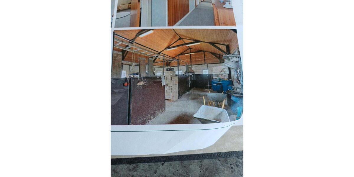 Einfamilienhaus Fehmarn - 3 Zimmer, 115 m&sup2;, 135.000&euro; | Angebot:26780525