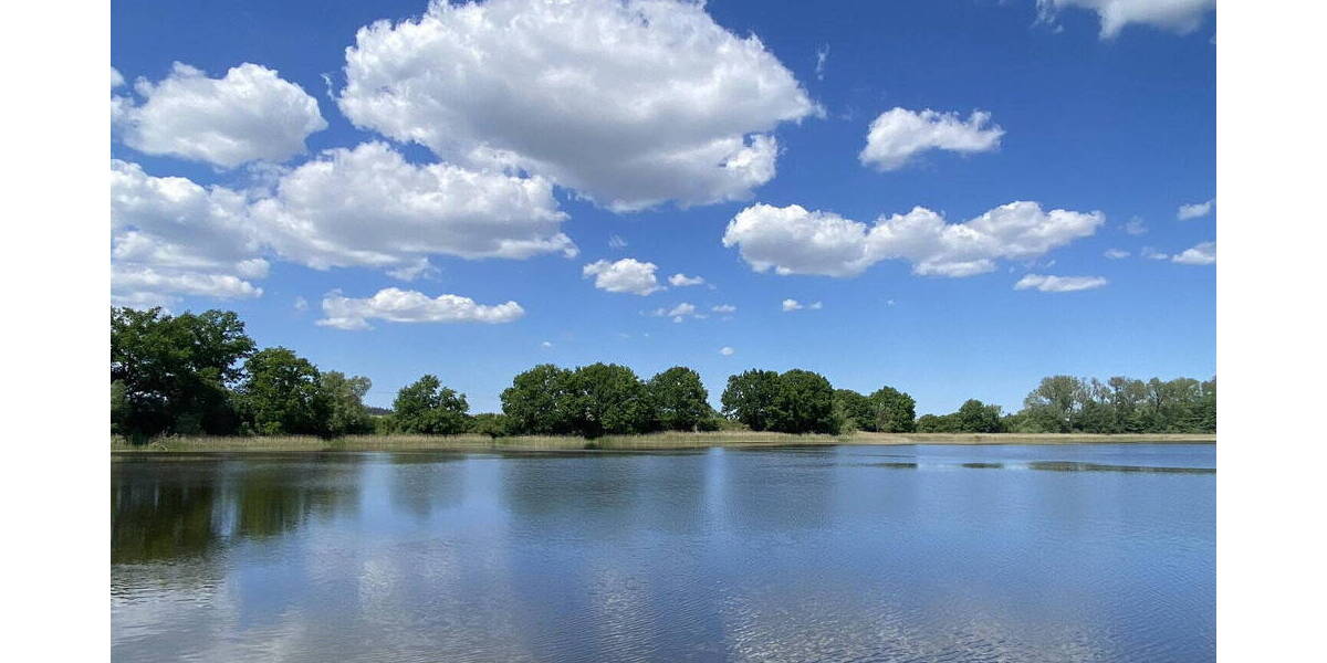 Einfamilienhaus Witzin - 4 Zimmer, 305 m&sup2;, 740.000&euro; | Angebot:25716256