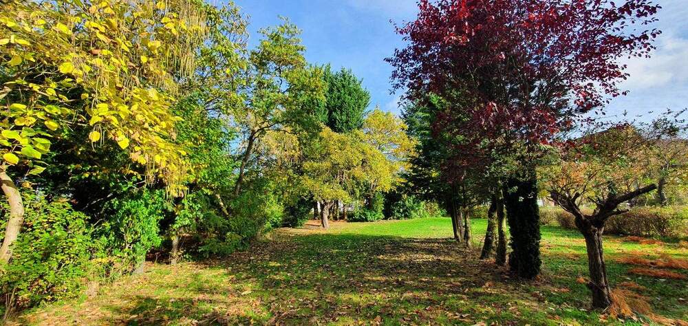 Viel Platz für Ihre Ideen - 2 Häuser * Bürohaus * Ladengeschäft * Wirtschaftsgebäude * 4 Garagen * Wald uvm. - Mehrfamilienhaus, Wohnhaus Arendsee (Altmark) Fleetmark | Angebot:25536497
