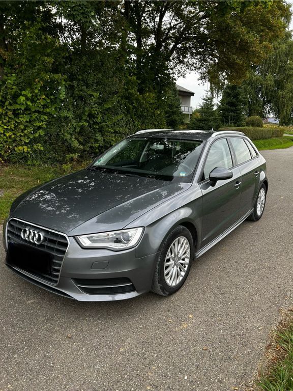 A3