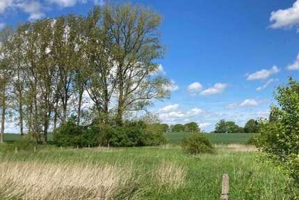 Grundstück zu verkaufen in Zarrentin am Schaalsee 75.000 € 1300 m² zimmer