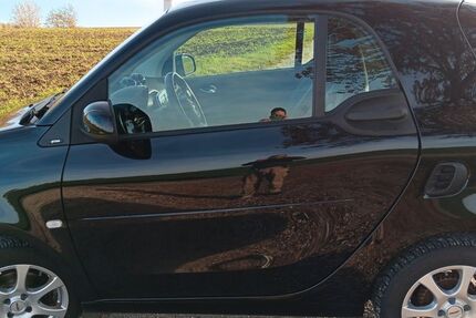 Smart ForTwo 134.000 km 9.100 € Berghülen 89180