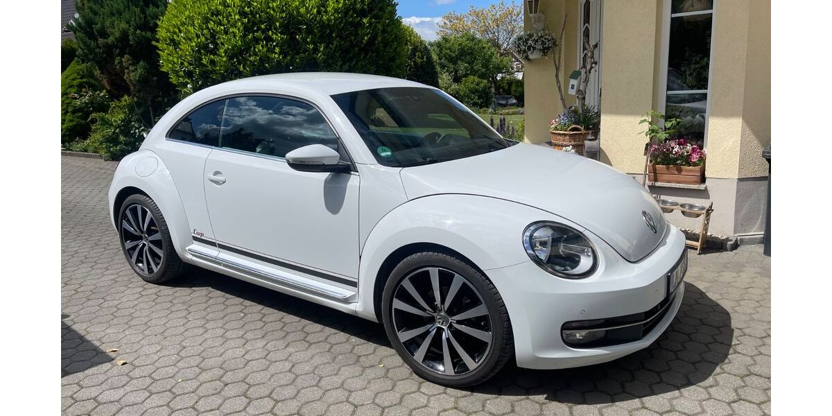 VW Beetle 146.000 km 7.899 &euro; Struppen 01796