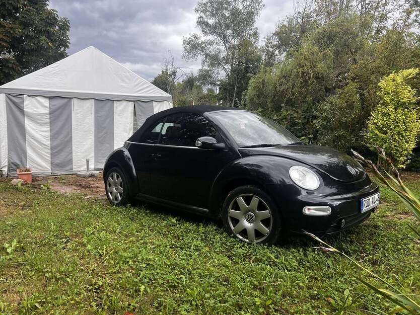 New Beetle