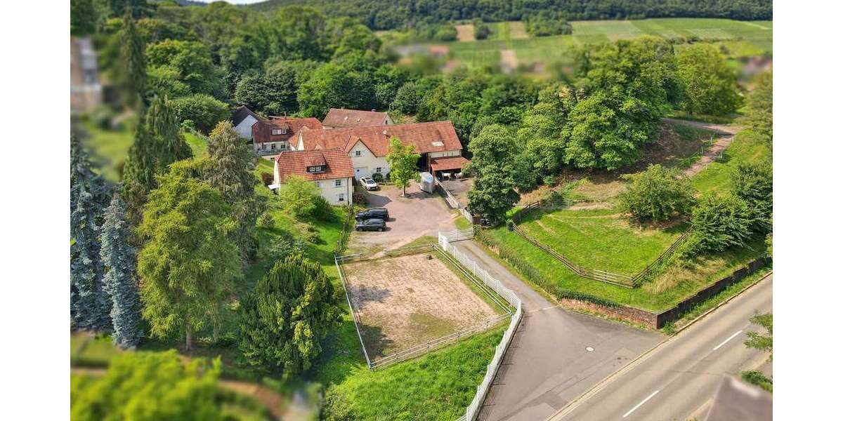 Haus zum Kaufen in Bad Bergzabern 2.350.000 € 560 m² 19 zimmer
