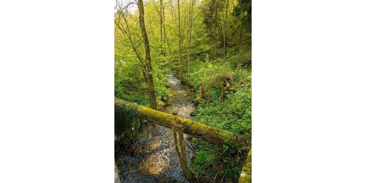 Gewerbeobjekt Wald-Michelbach Michelbach - 632&euro; | Angebot:25991916