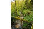 Gewerbeobjekt Wald-Michelbach Michelbach - 632&euro; | Angebot:25991916