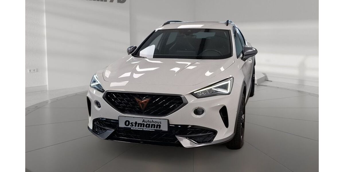 Cupra Formentor 32.988 km 26.850 &euro; Wolfhagen 34466