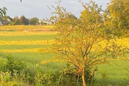 Grundstück zu verkaufen in Bornheim 620.000 € 1170 m² zimmer