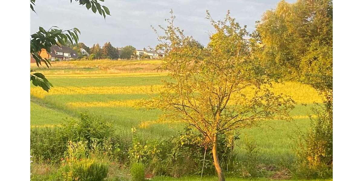 Grundstück zu verkaufen in Bornheim 620.000 € 1170 m² zimmer