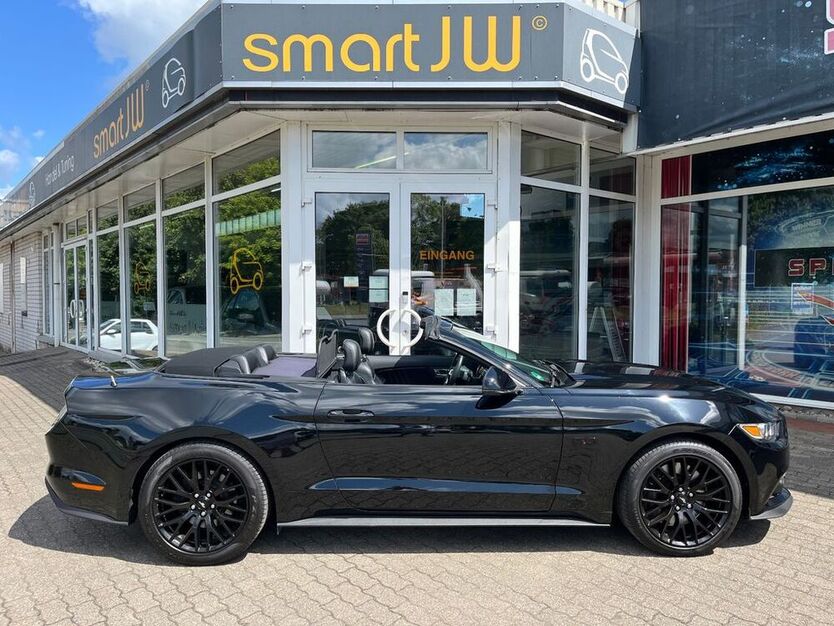 Mustang