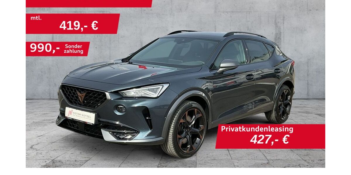 Cupra Formentor 22.134 km 32.430 &euro; Mitterteich 95666