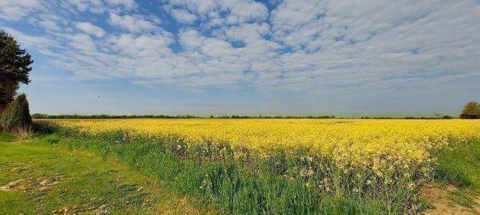 Grundstück Niepars Duvendiek - 76.718&euro; | Angebot:24834493