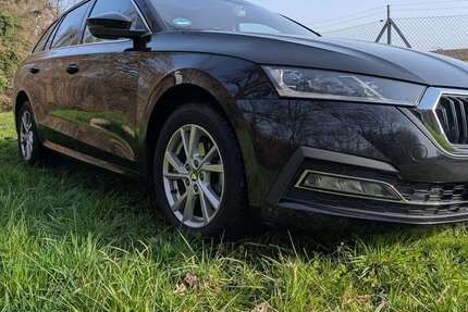 Skoda Octavia 188.000 km 14.900 &euro; Breisach am Rhein, Stadt 79206