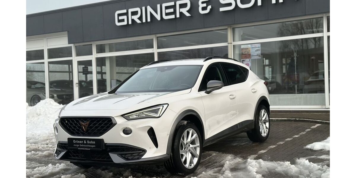 Cupra Formentor 29.801 km 23.500 &euro; Lemwerder 27809