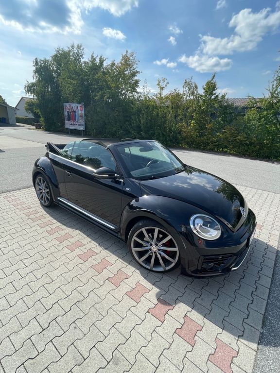 Beetle