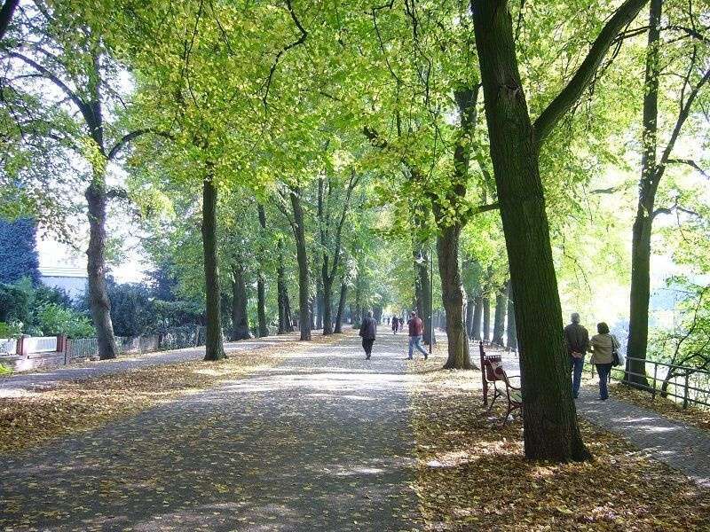 Büro in Münster 1.740 € 145 m²
