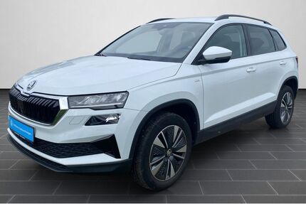 Skoda Karoq 67.858 km 24.990 € Neustadt a.d. Weinstraße 67433