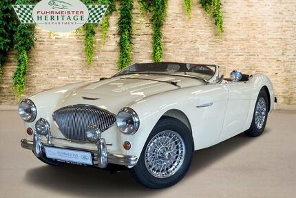 Austin Healey Andere