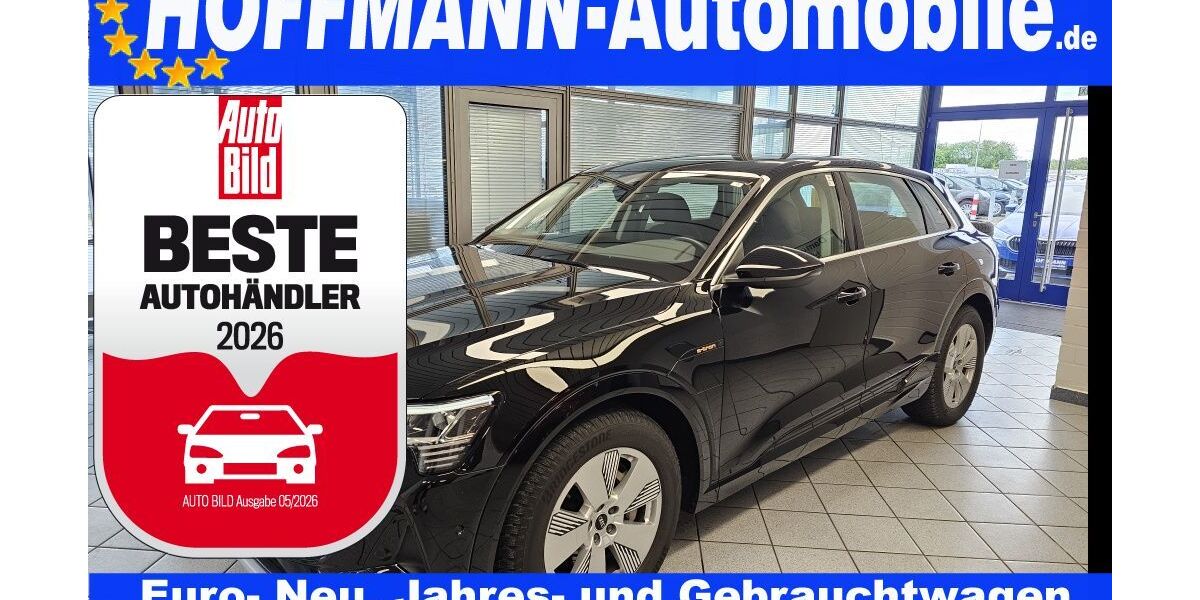 Audi e-tron 33.854 km 37.900 &euro; Wolfsburg-Heiligendorf 38444