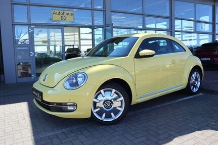VW Beetle