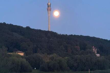 Wohnung Dresden Blasewitz - 4 Zimmer, 103 m&sup2;, 359.000&euro; | Angebot:25474672