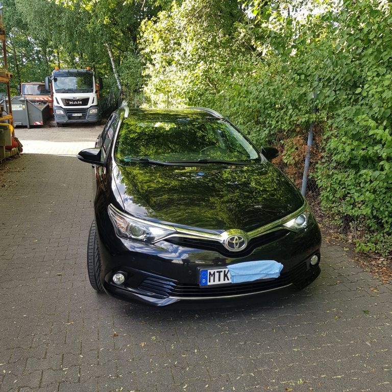 Auris