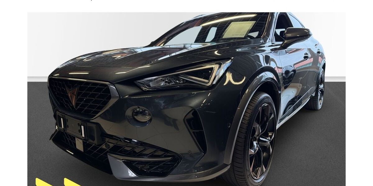 Cupra Formentor 23.700 km 32.780 &euro; Heilbronn 74076