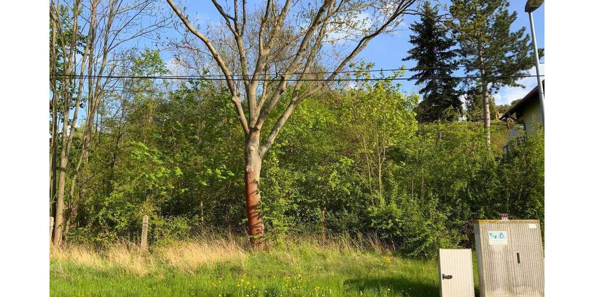 Grundstück in ruhiger Stadtrandlage zimmer