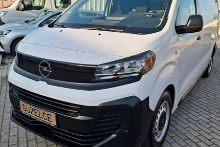 Opel Vivaro 44.000 km 21.899 &euro; Baden-Württemberg - Maulbronn 75433