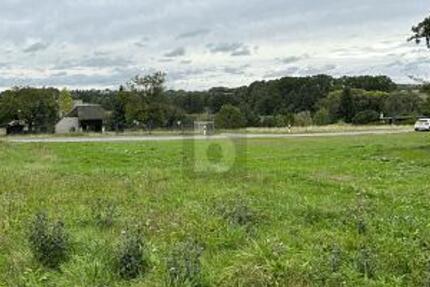 RUHIG GELEGEN MIT BLICK IN DIE FERNE
