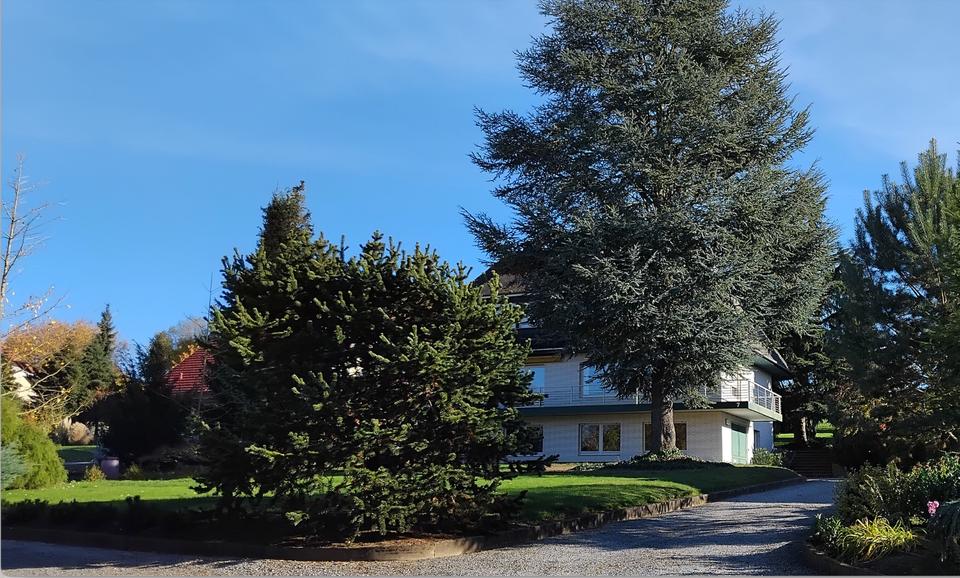 Einfamilienhaus Holzminden - 396.000&euro; | Angebot:26561637