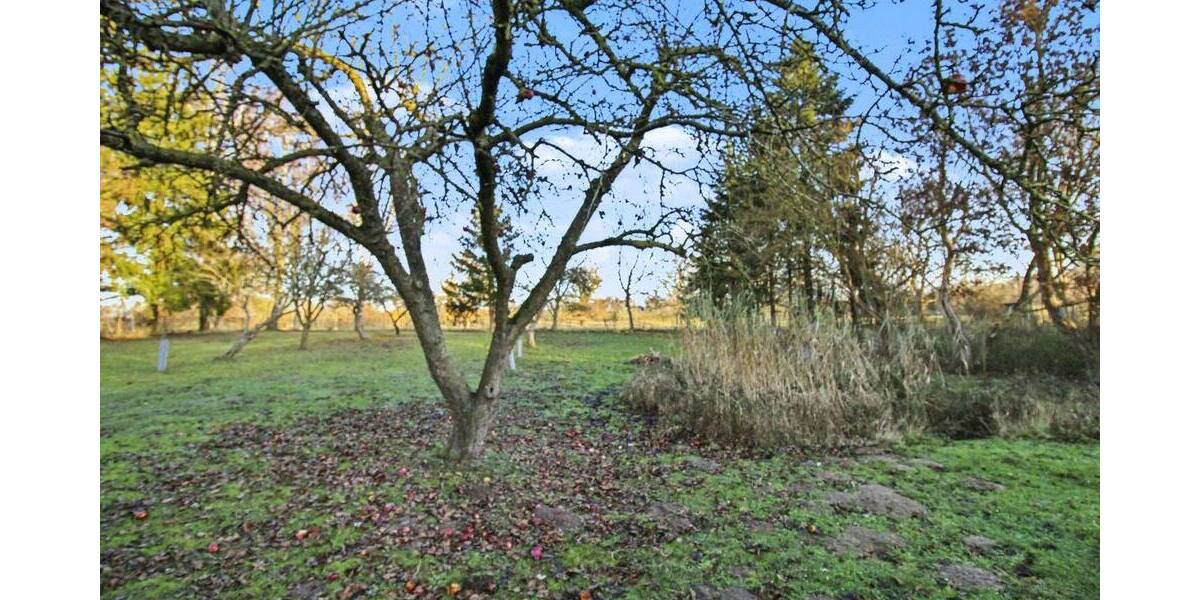 Einfamilienhaus Dargun Wagun - 5 Zimmer, 164.900&euro; | Angebot:26065514