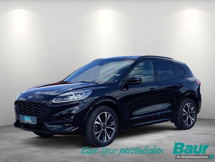 Kuga