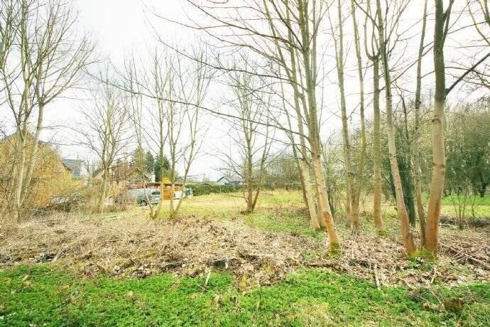 Grundstück Zahna-Elster Zahna - 85.000&euro; | Angebot:25748453