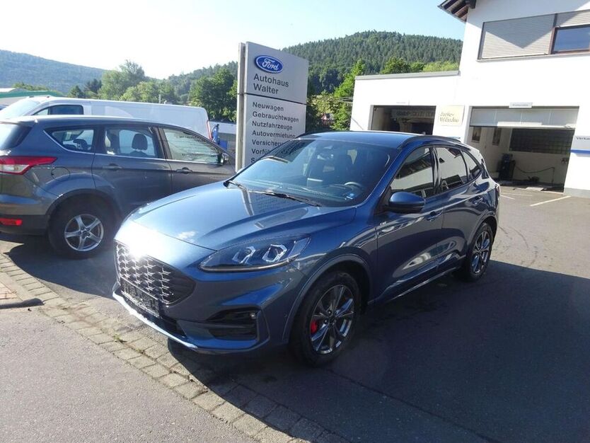 Kuga