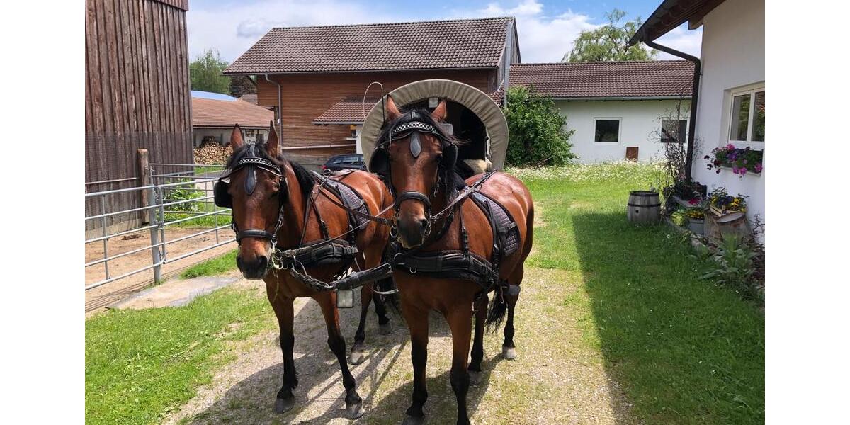 Wohnung auf dem Bauernhof, Ferienwohnung 1 zimmer